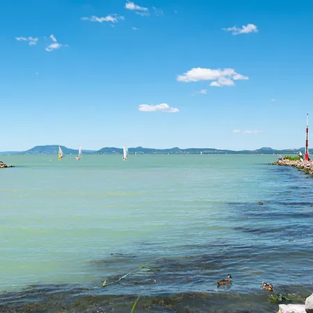 In - Balaton 19180 * Balatonlelle
